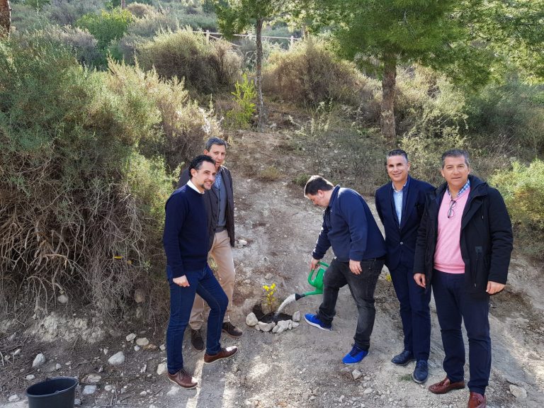 V Reforestación Monte Benacantil 2019