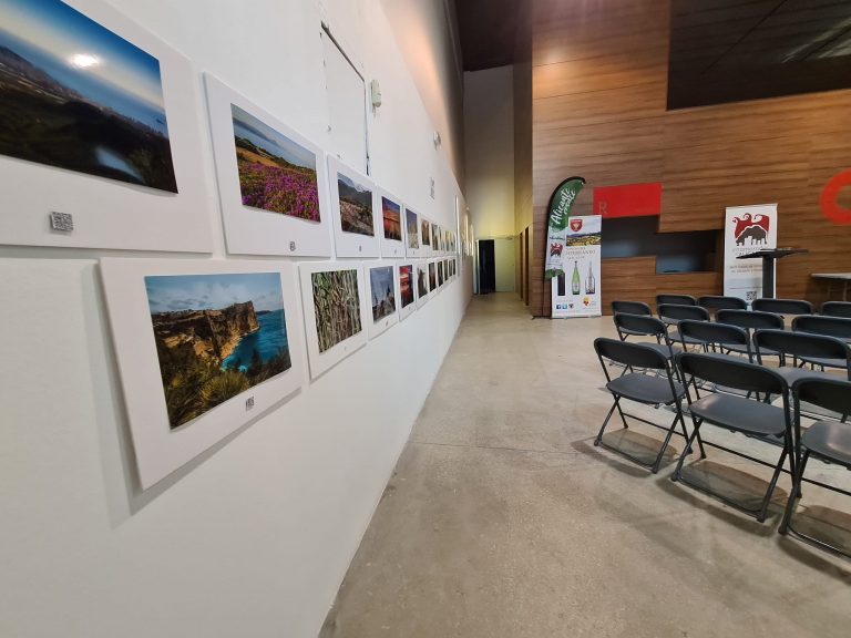 La expo fotográfica de naturaleza «Alicante Renace» se inaugura este sábado en Las Cigarreras