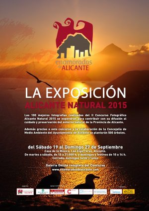 poster-exposicion