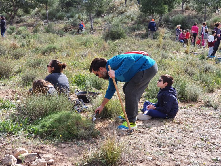 El Ayuntamiento de Alicante y la Asociación Enamorados de Alicante plantarán más de 1.000 árboles y arbustos