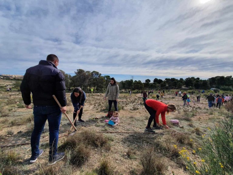Más de 1.000 personas participarán en la gran reforestación promovida por la Asoc. Enamorados de Alicante con el apoyo del Ayuntamiento de Alicante