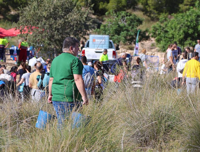 Carta De Agradecimiento A Los Voluntarios Ambientales Alicante Renace