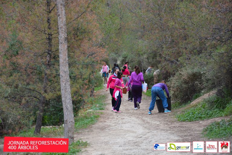 I Reforestación de Otoño Alicante Renace Monte Benacantil 2014