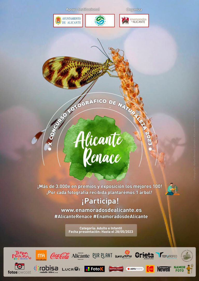 X Concurso Fotográfico Alicante Renace 2023