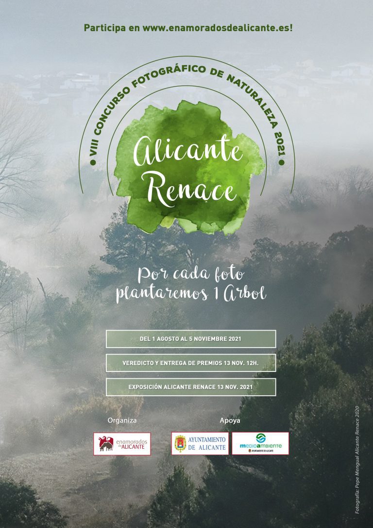 VIII Concurso Fotográfico Alicante Renace 2021