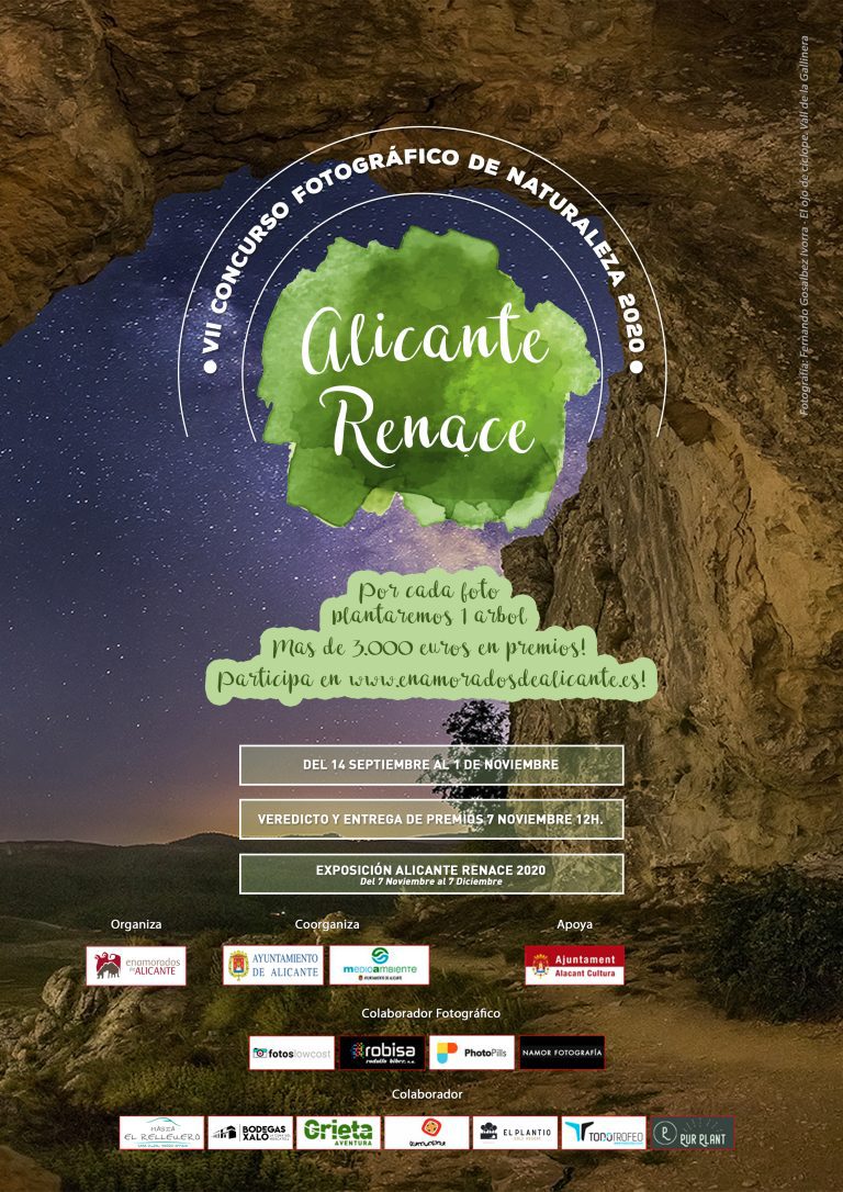 VII Concurso Fotográfico Alicante Renace 2020