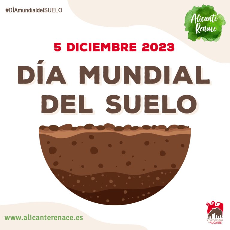 Día Mundial del Suelo 5 de diciembre