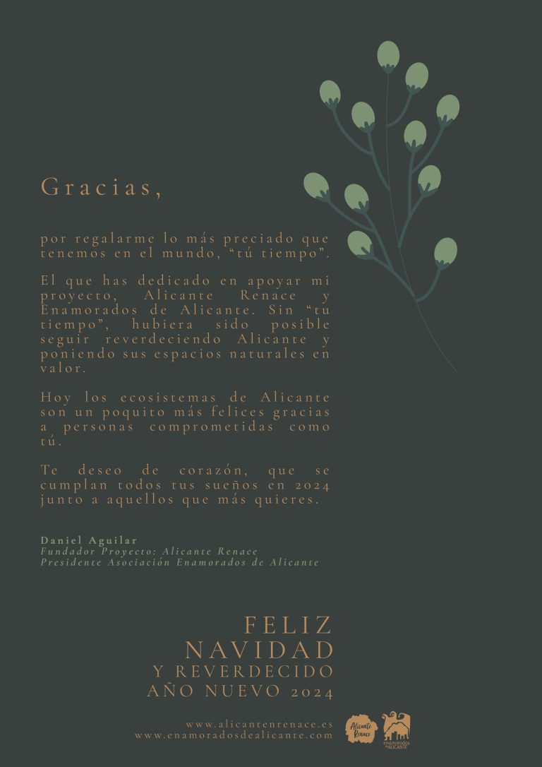 Feliz Navidad y Reverdecido Año Nuevo 2024