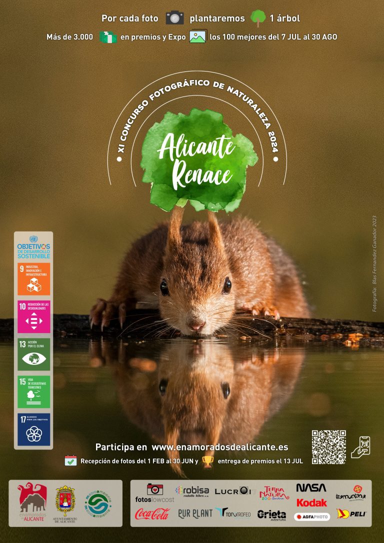 XI Concurso Fotográfico Alicante Renace 2024