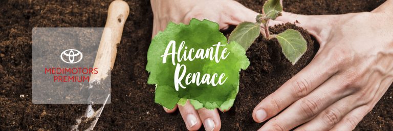 Renaturalización Toyota & Alicante Renace 2024