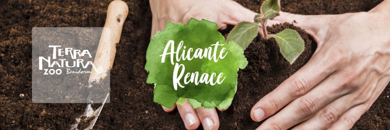Renaturalización Terra Natura Benidorm & Alicante Renace 2024
