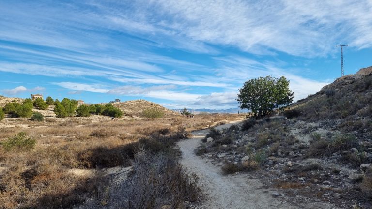 Reforestación de Otoño 2024: Abren Inscripciones para Restaurar El Palamó en Villafranqueza