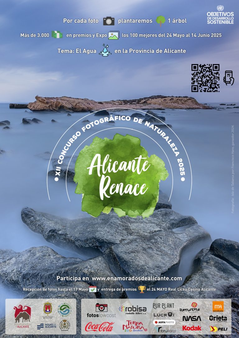 Concurso Fotográfico Alicante Renace 2025