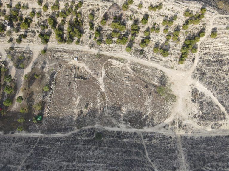 Restauración Ecológica El Palamo Villafranqueza por «Hotel La Milagrosa – Be Alicante» 2024