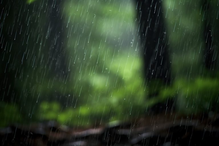 Reforestación de Primavera pasa al 22 de Marzo por climatología adversa 🌧️