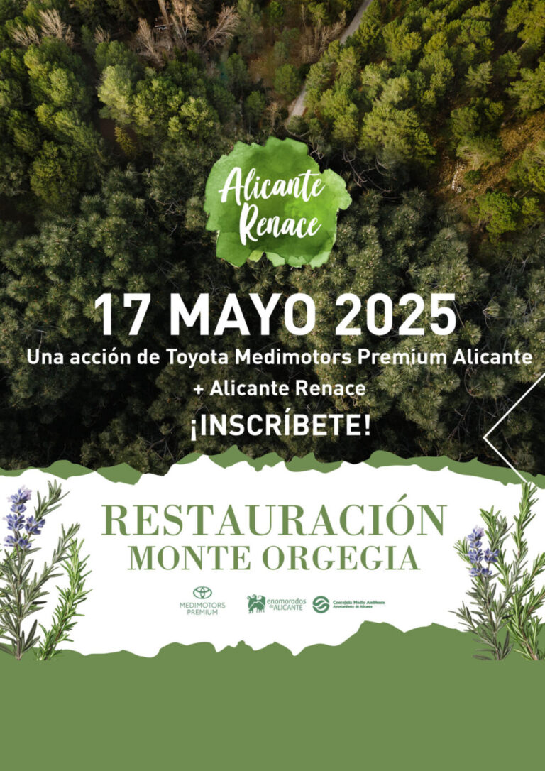 Restauración Monte Orgegia Toyota Medimotors Premium Alicante 2025