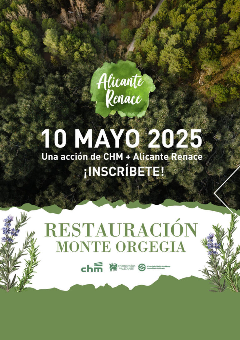Restauración Monte Orgegia CHM 2025