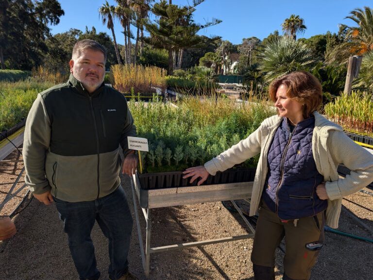 El Vivero Forestal de Guardamar (GVA) colabora con Alicante Renace con 2.000 plantas para la Gran Reforestación