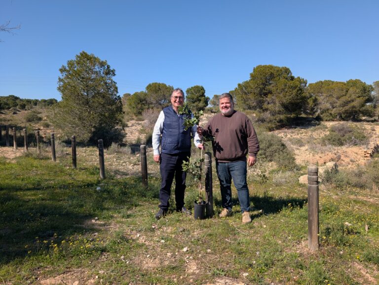 Vectalia se adhiere a Alicante Renace con la reforestación de 200 árboles