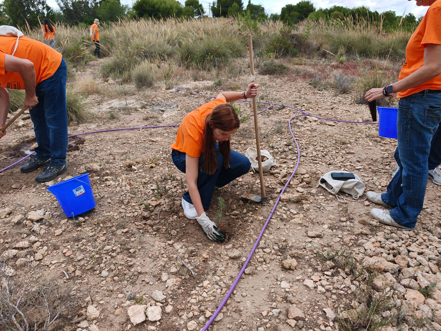 Intervención ambiental documentada sobre el terreno.