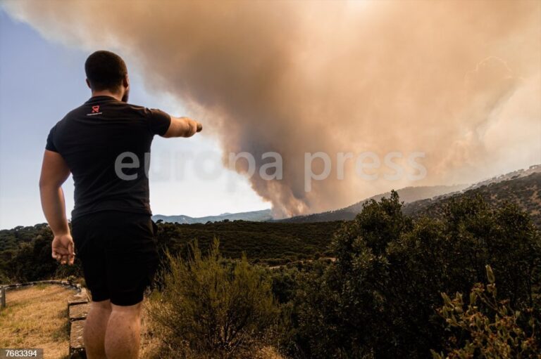 Cuando arde un bosque, perdemos mucho más que árboles